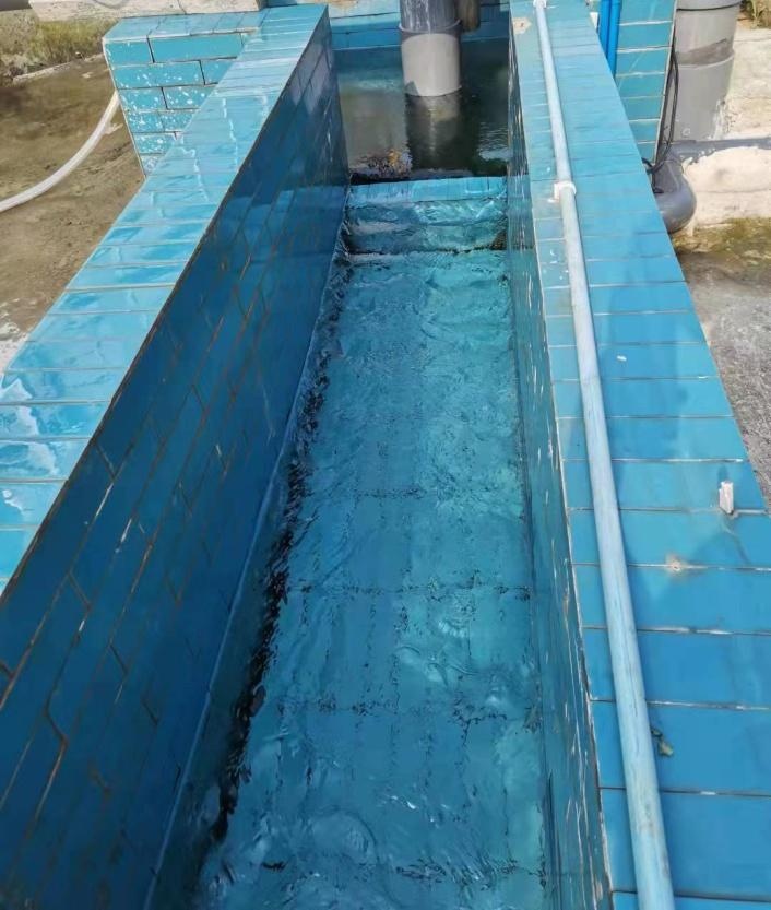 江油武都一体化临时污水处理项目005